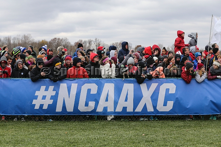 2016NCAAXC-127.JPG - Nov 18, 2016; Terre Haute, IN, USA;  at the LaVern Gibson Championship Cross Country Course for the 2016 NCAA cross country championships.